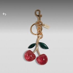 NWT Coach Cherry Bag Charm